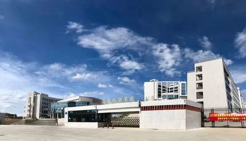 臺商區中考成績不理想怎么辦？經貿咨詢助你規劃新出路