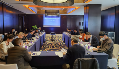 集聚智慧 共繪藍(lán)圖——黃文川主持北京專家咨詢會為百色重點(diǎn)開發(fā)開放試驗區(qū)建設(shè)把脈